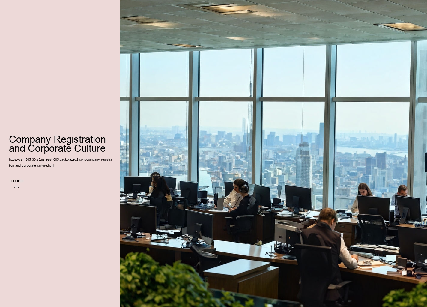 Company Registration and Corporate Culture